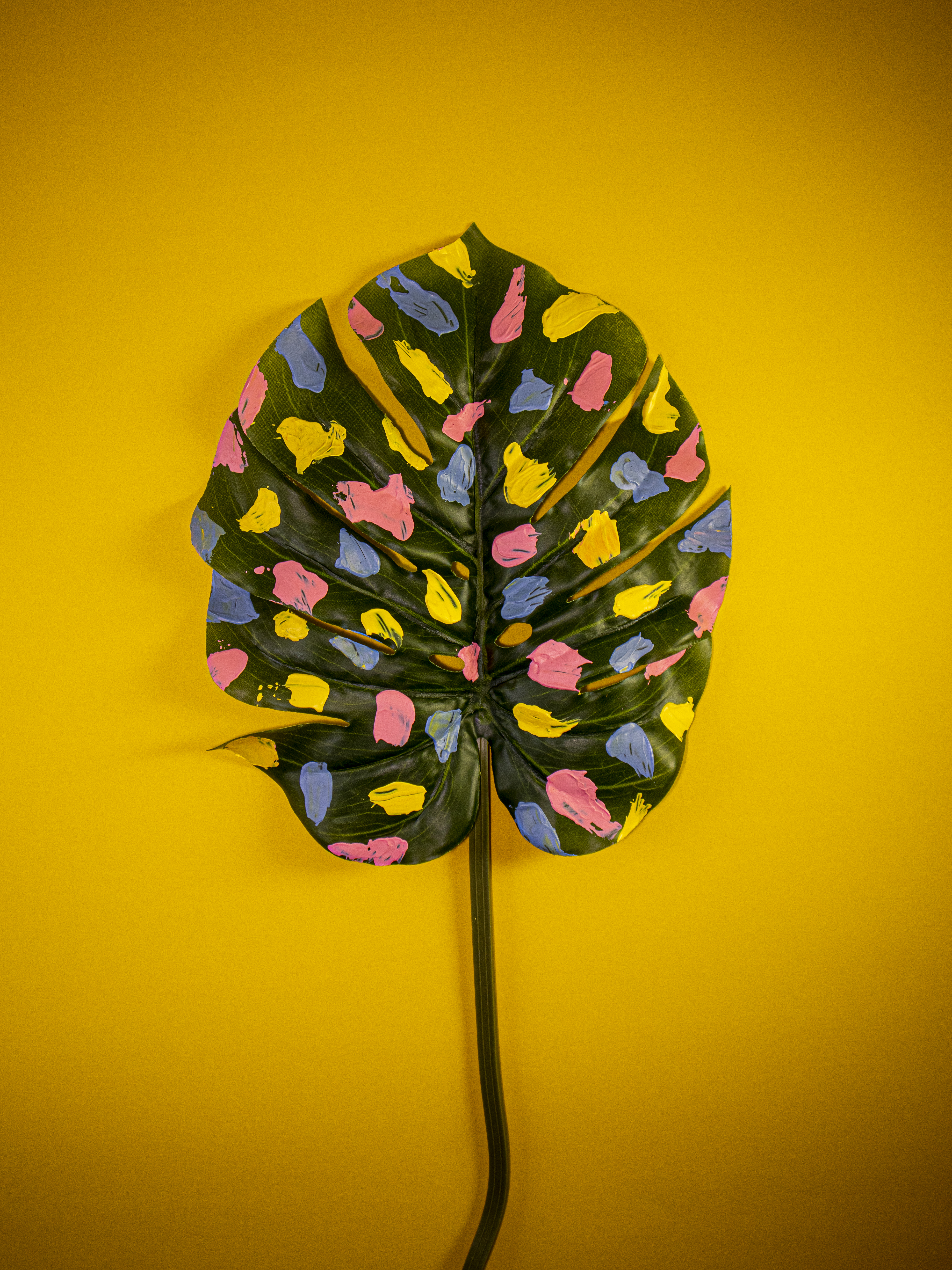 green leaf with pink, yellow and blue splats of paint on leaf with yellow background